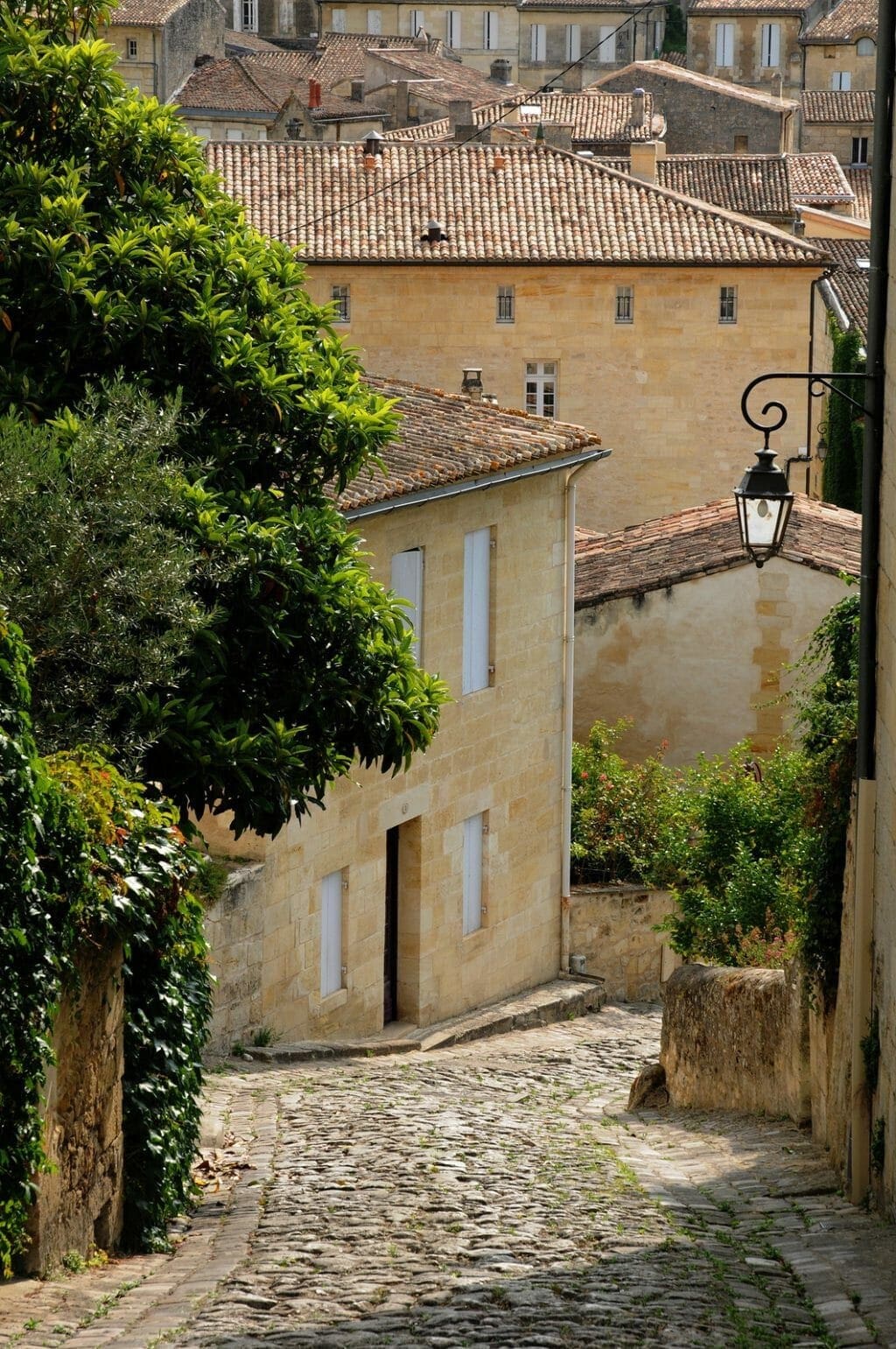 Une escapade gourmande à Saint-Émilion: les expériences gastronomiques à ne pas rater 25 food tour | 23