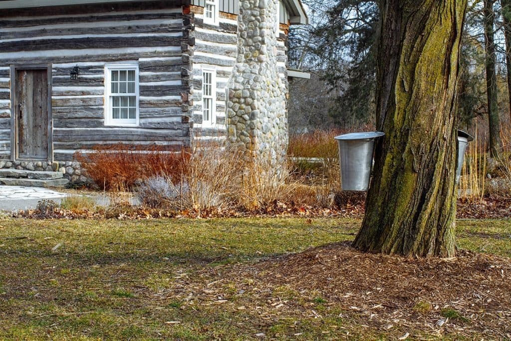 Cabane à sucre canada