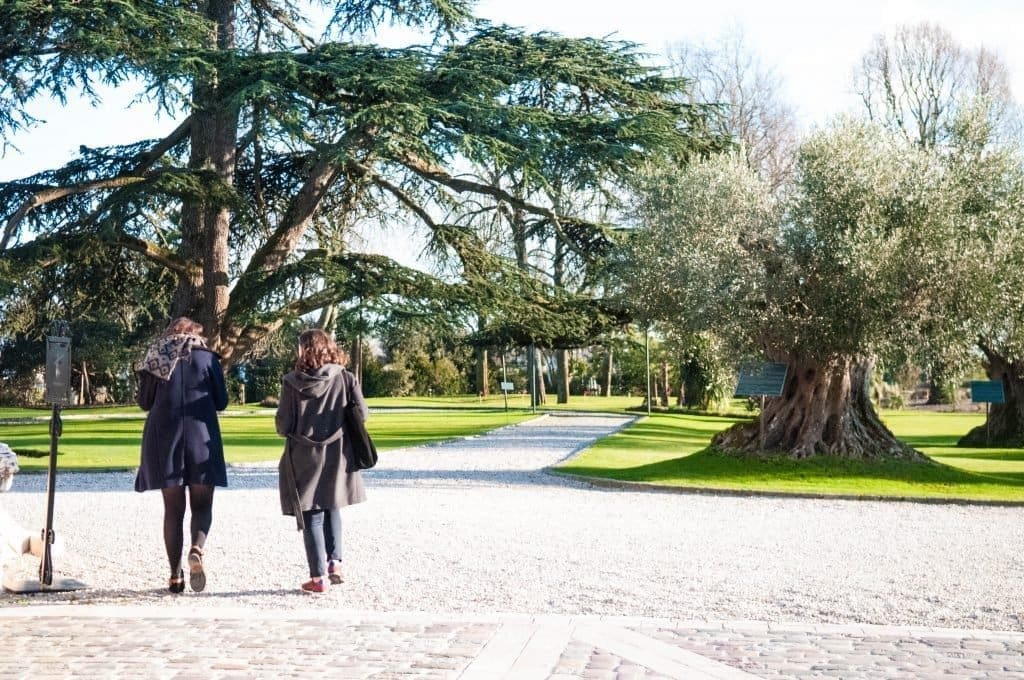 Le jardin Le jardin